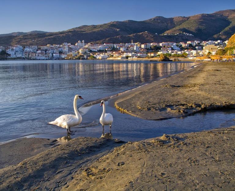 Πλατανακι 2 Seaview Apartment Andros Town Luaran gambar